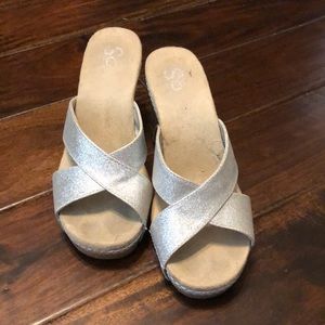 Sliver wedges